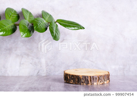 Natural mock-up of a tree cut and a branch with leaves on a gray background 99907454