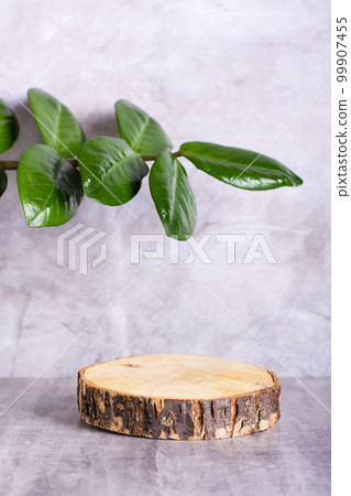 Natural mock-up of a tree cut and a branch with leaves on a gray background. Vertical view 99907455