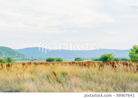 Steppe landscape on the bank of the river Sok Samara region Russia. View of the Zhiguli Mountains 99907641
