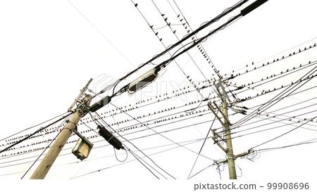 A large number of birds perched on an electric wire A large number of birds perched on an electric wire 99908696