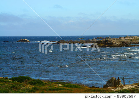 Surf Breaking Asilomar State Marine Reserve California 99908697
