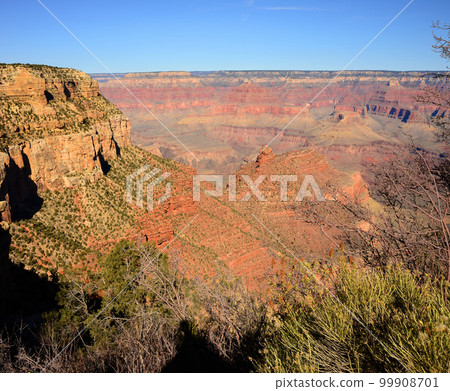 Grand Canyon Arizona 99908701