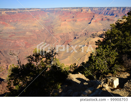 Grand Canyon Arizona Grand Canyon Arizona 99908703