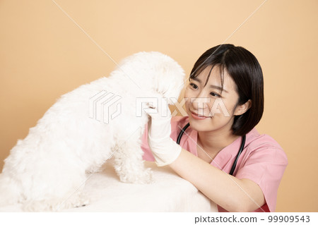 一位女獸醫微笑著檢查馬耳他人 99909543