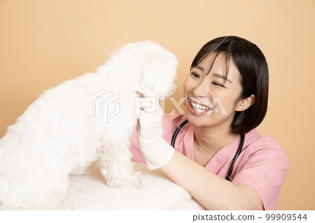 一位女獸醫微笑著檢查馬耳他人 99909544