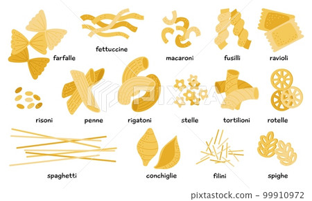 Delicious italian pasta types of high quality Vector Image