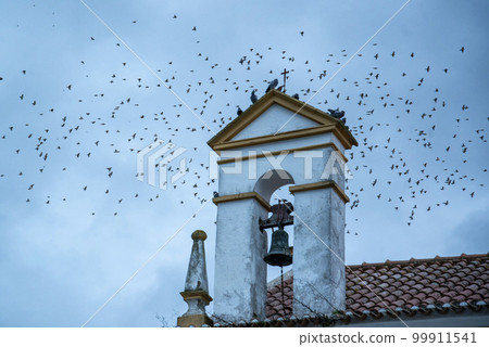 PORTUGAL ALENTEJO ALTER DO CHAO 99911541
