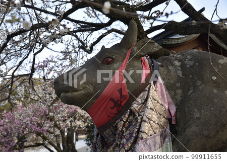 Nade beef and white plums at Kitano Tenmangu Shrine 99911655