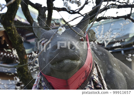 Nade beef and white plums at Kitano Tenmangu Shrine 99911657