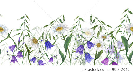 Floral seamless horizontal border with campanula, daisy. wild oats. Watercolor isolated pattern on white background. For background, prints, wallpaper, fabric, textile, wrapping. 99912042