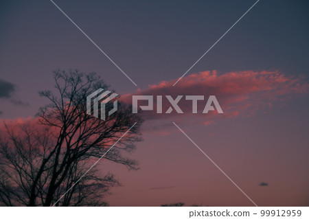 Hakushu-cho, Hokuto City, red sunset clouds and withered trees in winter Hakushu-cho, Hokuto City, red sunset clouds and withered trees in winter 99912959