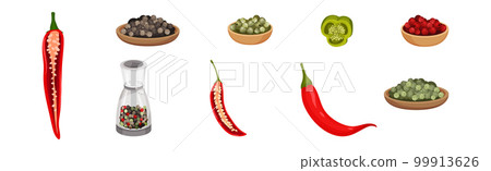 Black Pepper and Chili Corn Piled on Plate as Dry Condiment and Spice Vector Set 99913626