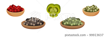 Black Pepper and Chili Corn Piled on Plate as Dry Condiment and Spice Vector Set Black Pepper and Chili Corn Piled on Plate as Dry Condiment and Spice Vector Set 99913637