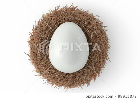 Farm raw organic white sugar-coated eggs bird nest isolated on white background 99913872