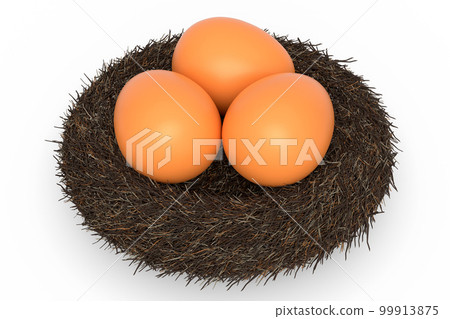 Farm raw organic brown eggs bird nest isolated on white background Farm raw organic brown eggs bird nest isolated on white background 99913875