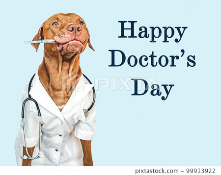 Happy Doctor's day. Lovable, pretty puppy. Closeup Happy Doctor's day. Lovable, pretty puppy. Closeup 99913922