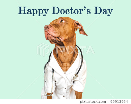Happy Doctor's day. Lovable, pretty puppy. Closeup Happy Doctor's day. Lovable, pretty puppy. Closeup 99913934