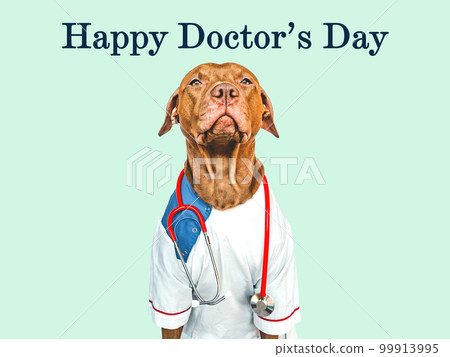 Happy Doctor's day. Lovable, pretty puppy. Closeup 99913995