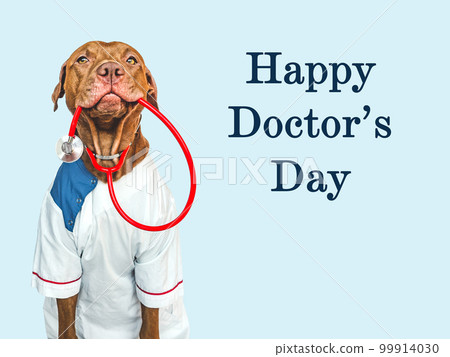 Happy Doctor's day. Lovable, pretty puppy. Closeup Happy Doctor's day. Lovable, pretty puppy. Closeup 99914030