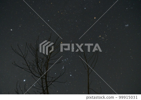 Hakushu Town, Hokuto City, Winter Triangle and Orion Constellation Hakushu Town, Hokuto City, Winter Triangle and Orion Constellation 99915031
