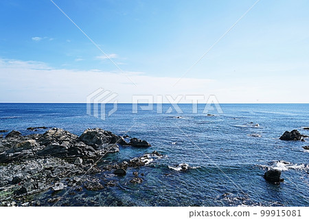 東海沙灘風光 99915081