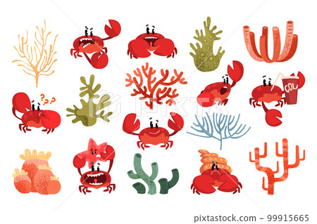 Funny smiling crab characters set. Cute crustacean creatures with big claws and seaweeds vector Funny smiling crab characters set. Cute crustacean creatures with big claws and seaweeds vector 99915665