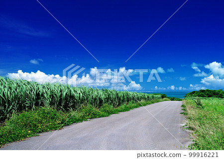 Road and blue sky on the north side of Kohama Island, Okinawa Prefecture 99916221