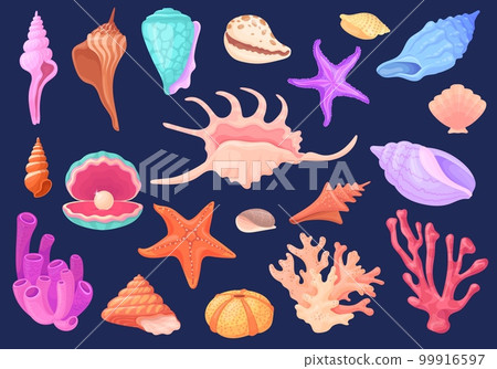 Underwater conches. Cartoon shellfish scallops ocean conch oyster mollusks seashell, beach reef coral sea star pearl shell, tropical aquarium decoration, neat vector illustration 99916597