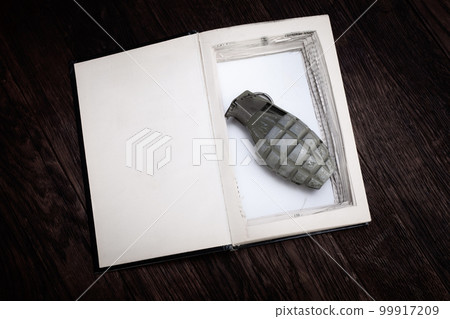 hand grenade hidden in a book 99917209