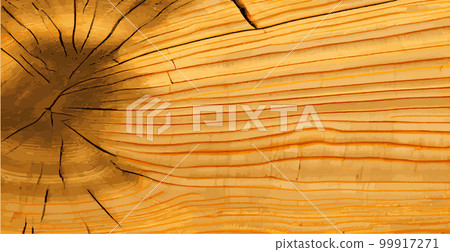 Realistic panoramic texture of the tallest green tree in the world, made in the USA - Vector Realistic panoramic texture of the tallest green tree in the world, made in the USA - Vector 99917271