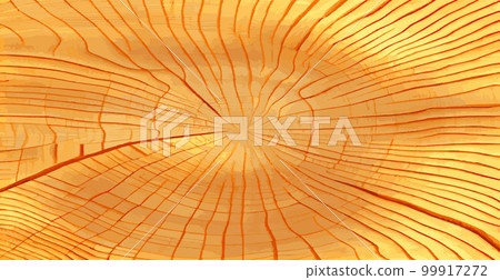 Realistic panoramic texture of the tallest green tree in the world, made in the USA - Vector 99917272