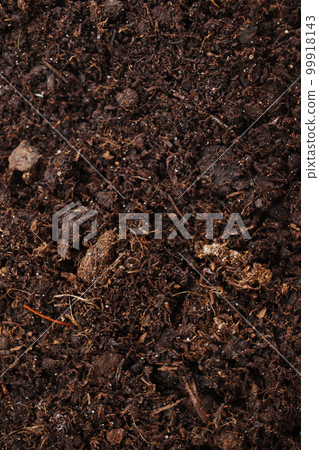 fertile soil for planting and growing plants.  99918143