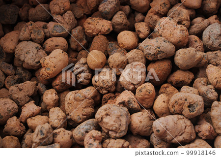 Expanded clay. small lumps of clay used in construction and for growing plants. Expanded clay. small lumps of clay used in construction and for growing plants. 99918146