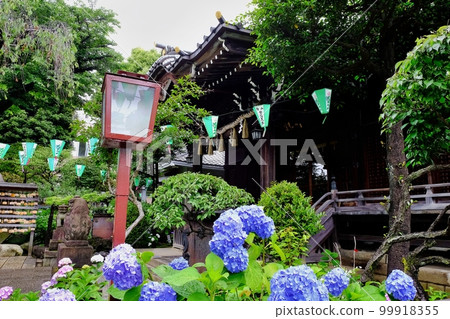 東京都文京區白山神社 東京都文京區白山神社 99918355