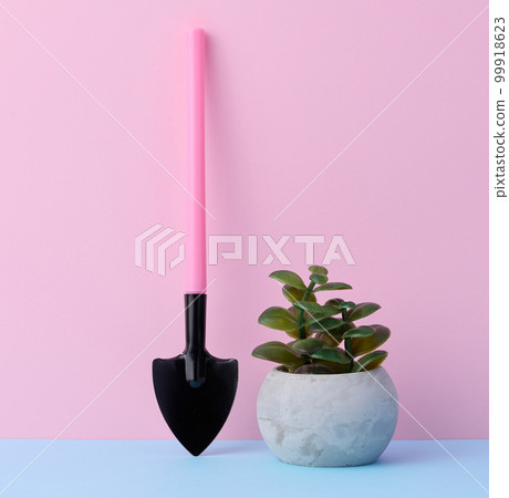 Miniature garden tools for transplanting plants, home hobby Miniature garden tools for transplanting plants, home hobby 99918623
