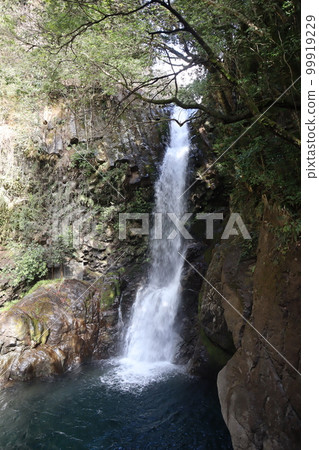 綠葉茂盛的樹木和植物、大瀑布、懸崖和清水盆地的山景 99919229