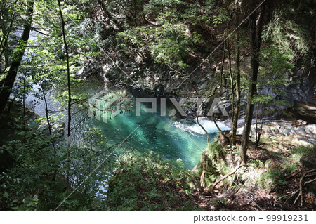 Landscape with beautiful colored water basin and river in a forest of green plants and trees and a mountain with rocks Landscape with beautiful colored water basin and river in a forest of green plants and trees and a mountain with rocks 99919231