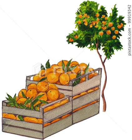 Orange orchard watercolor png element,fruits, Orange orchard watercolor png element,fruits, 99919342