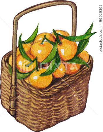 Orange orchard watercolorpng element,fruits, 99919362