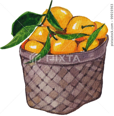 Orange orchard watercolorpng element,fruits, 99919363