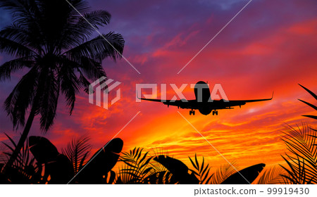 Passenger Airplane In Approach for Landing with Beautiful Sunset and Tropical Trees and Plants. 99919430