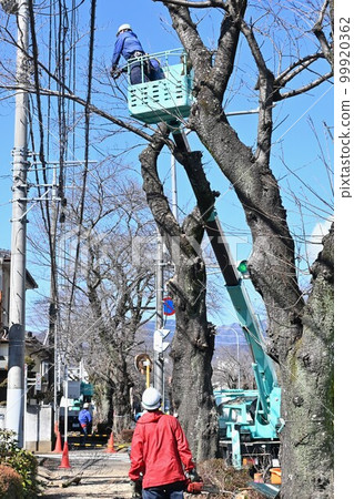 行道樹採伐與選擇/公共建築環境維護 99920362