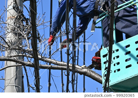 行道樹採伐與選擇/公共建築環境維護 行道樹採伐與選擇/公共建築環境維護 99920365