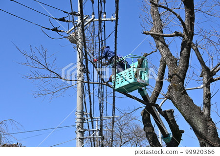 Cutting and selection of roadside trees/Public construction environment maintenance Cutting and selection of roadside trees/Public construction environment maintenance 99920366