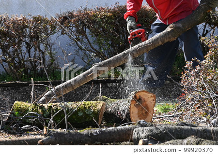 Cutting and selection of roadside trees/Public construction environment maintenance 99920370