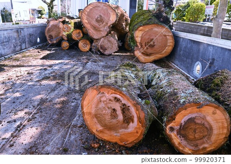 Cutting and selection of roadside trees/Public construction environment maintenance 99920371