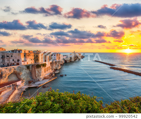 Vieste - beautiful coastal town on the rocks in Puglia Vieste - beautiful coastal town on the rocks in Puglia 99920542