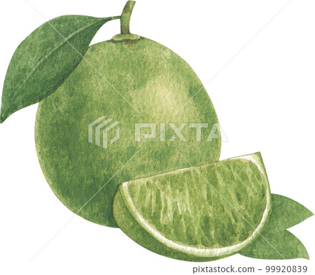 Ice cream scoop watercolor png element 99920839