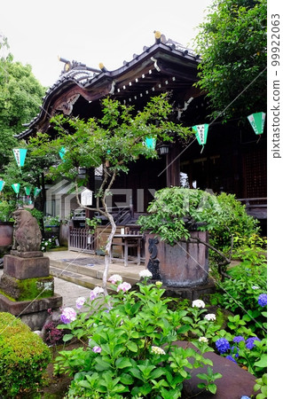 Hakusan Shrine, Bunkyo-ku, Tokyo Hakusan Shrine, Bunkyo-ku, Tokyo 99922063