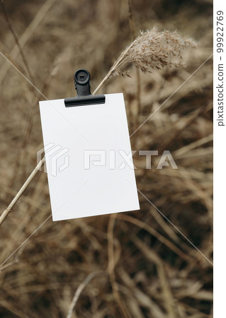 Greeting card, invitation mockup cliped on dry reed stem. Brown dry ears of grass. Moody autumn, winter outdoor concept. Closeup of fading wild plants. Vertical blurred background. Seasonal nature . 99922769